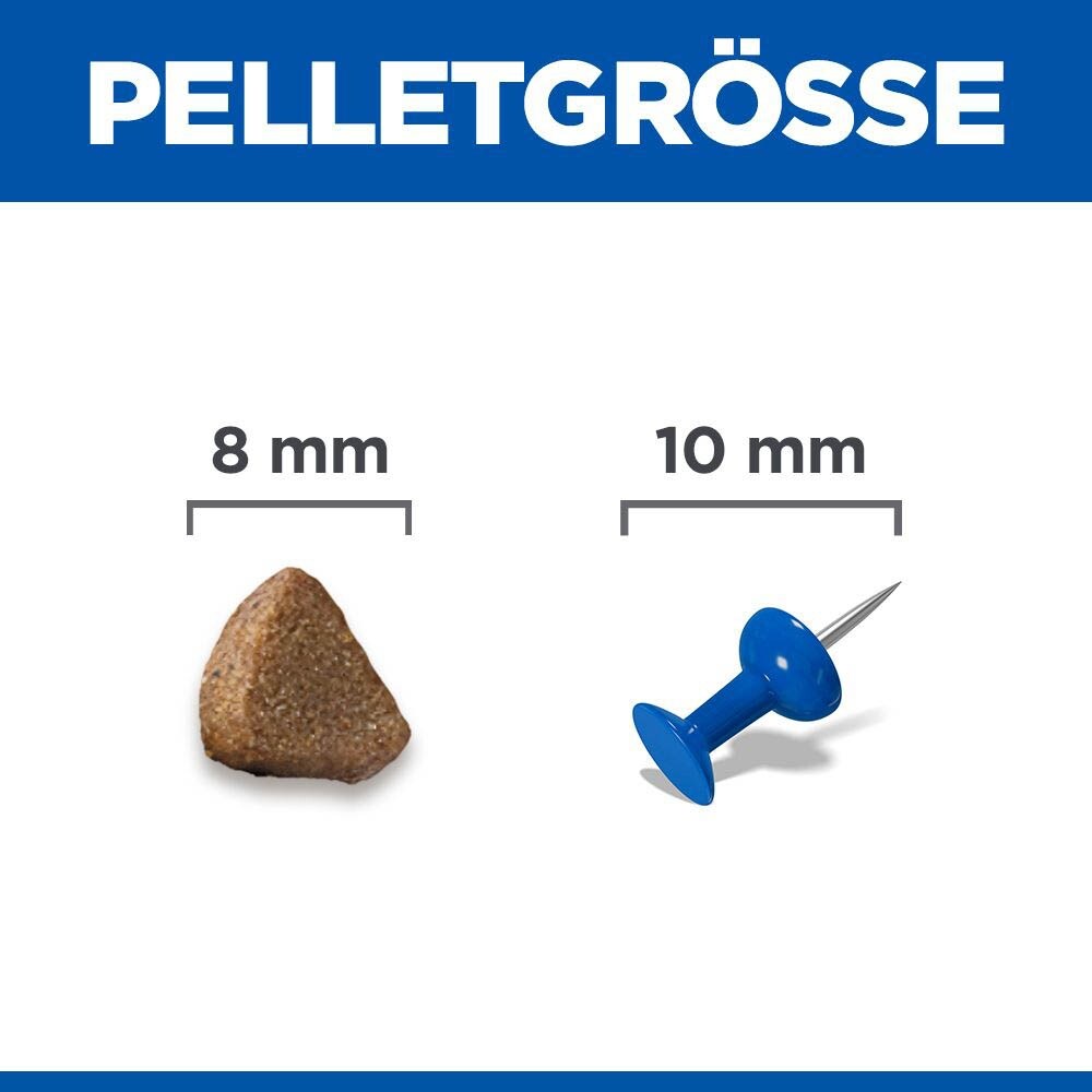 Hills Science Plan Feline Kitten Huhn_4