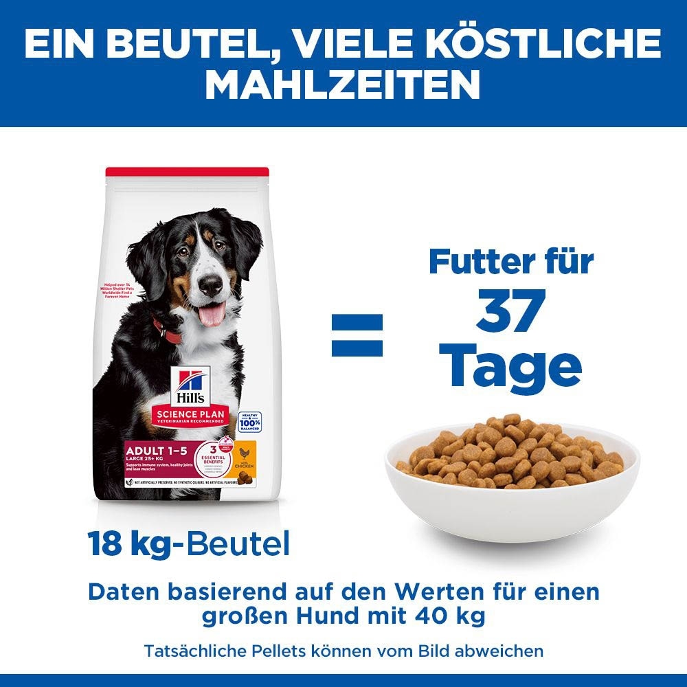 Hills Science Plan Adult Large Breed mit Huhn Trockenfutter für Hunde_6