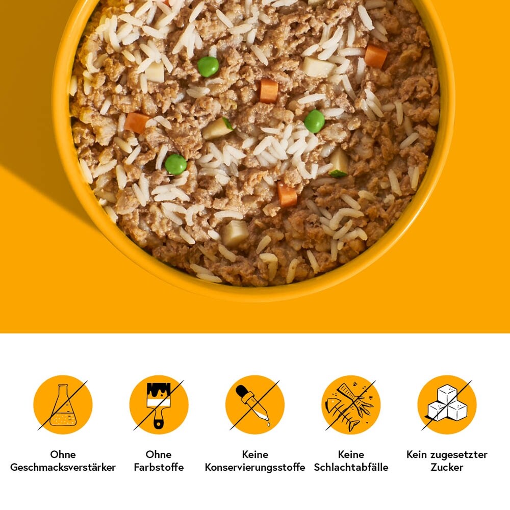 Fred Huhn mit Reis_2