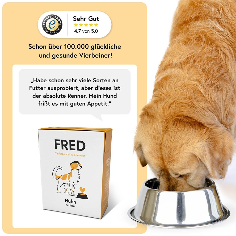 Fred Huhn mit Reis_3