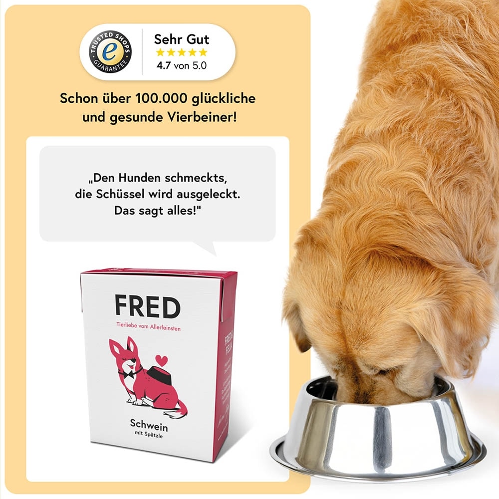 Fred Schwein mit Spätzle_3