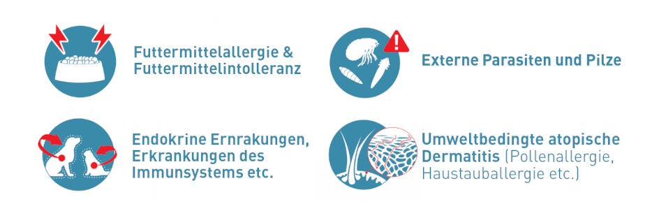 Royal Canin Erkrankungen und Hautprobleme